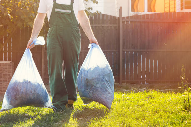 Best Construction Debris Removal  in Thornton, IL